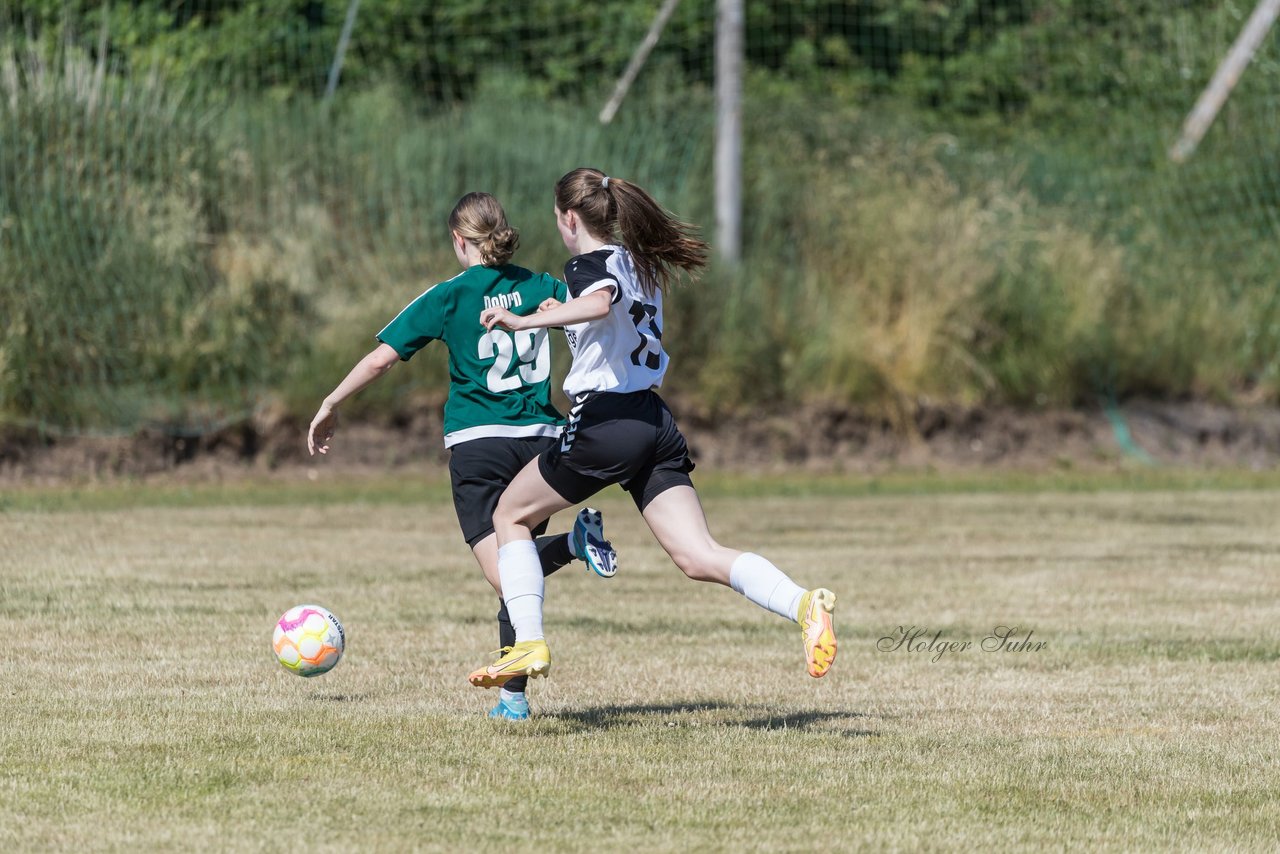 Bild 273 - wBJ TuRa Meldorf/Buesum - JFV Luebeck : Ergebnis: 1:0